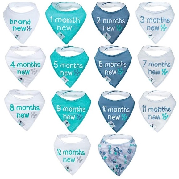 Pezzito Other - Baby Monthly Milestone Bib Set